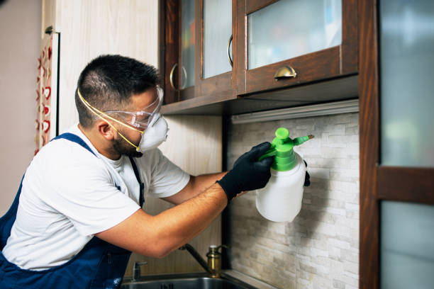Flea Control Services in Miami, FL